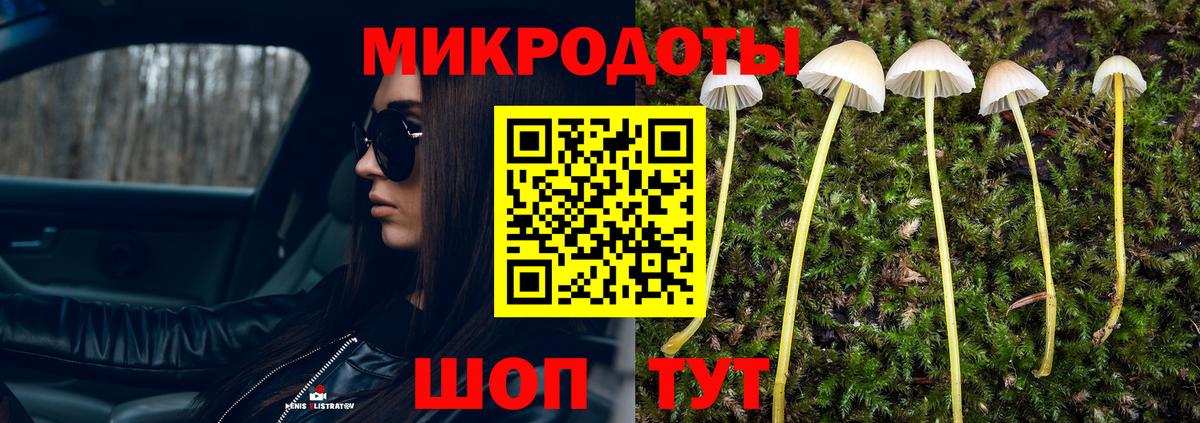 Галлюциногенные грибы Cubensis  Вход с VPN  Глазов 