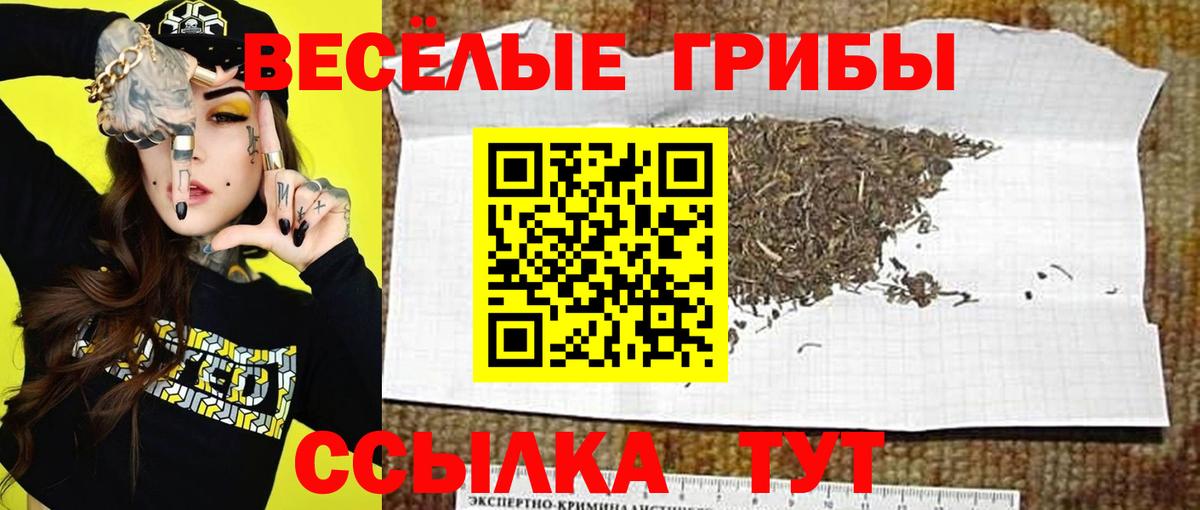 Псилоцибиновые грибы прущие грибы Глазов